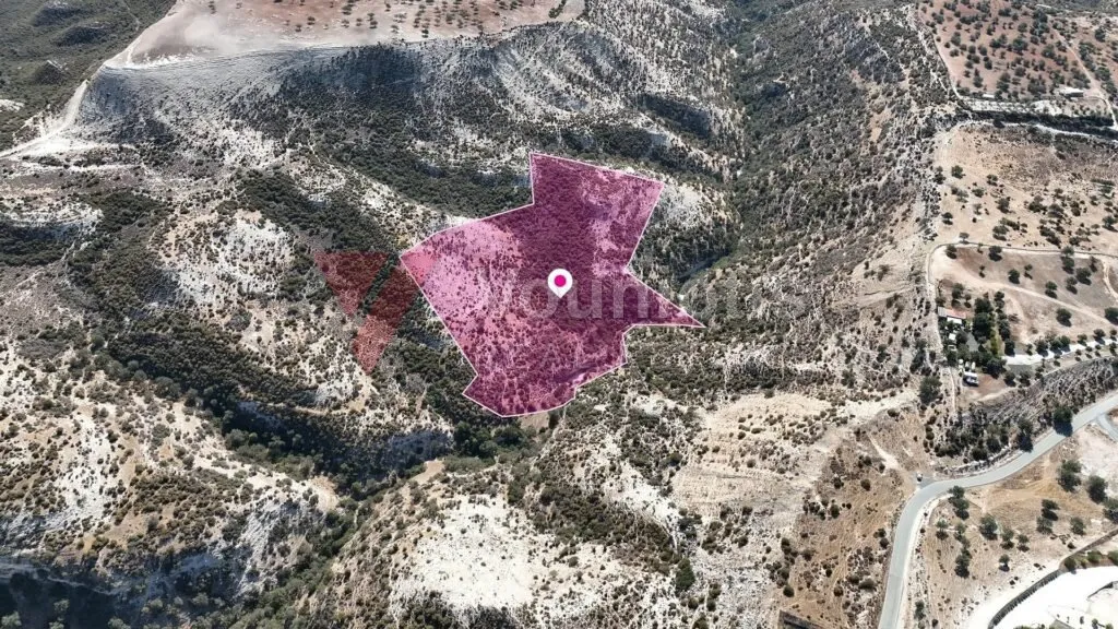 Large Agricultural Field in Pissouri, Limassol – photo 3