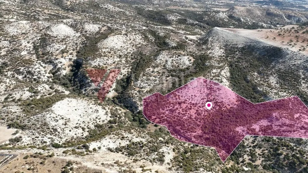 Large Agricultural Field in Pissouri, Limassol – photo 4