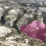 Large Agricultural Field in Pissouri, Limassol — Limassol, Pissouri (4)