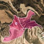 Agricultural Fields in Skoulli, Paphos — Paphos, Skoulli