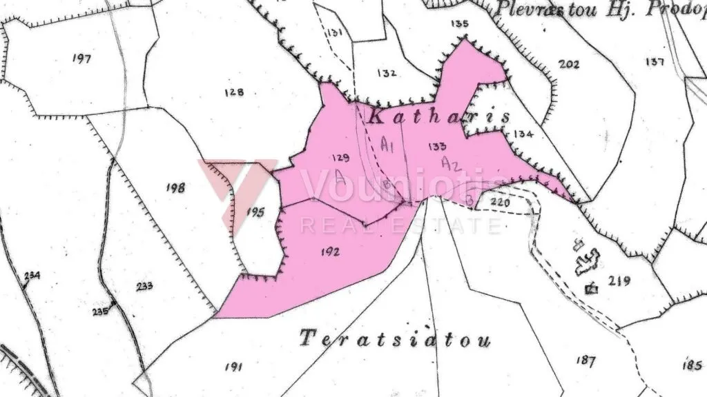 Agricultural Fields in Skoulli, Paphos – photo 4