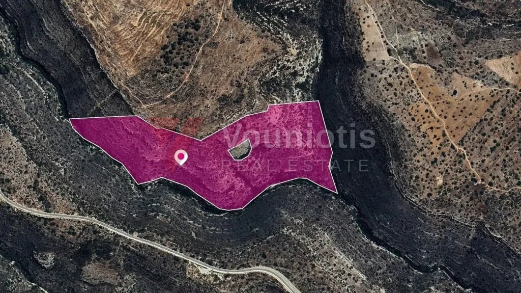 Field in Sotira Community, Limassol – photo 3