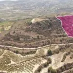Agricultural Field, Stroumbi, Paphos — Paphos, Stroumbi