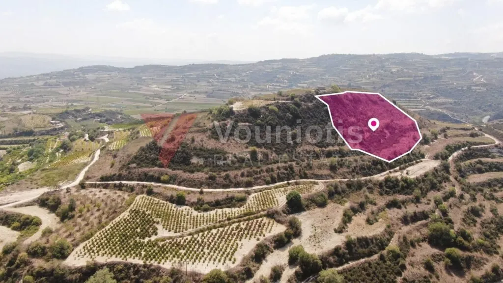 Agricultural Field, Stroumbi, Paphos – photo 2