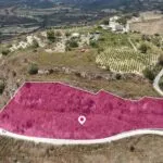 Agricultural Field in Tsada, Paphos — Paphos, Tsada (2)