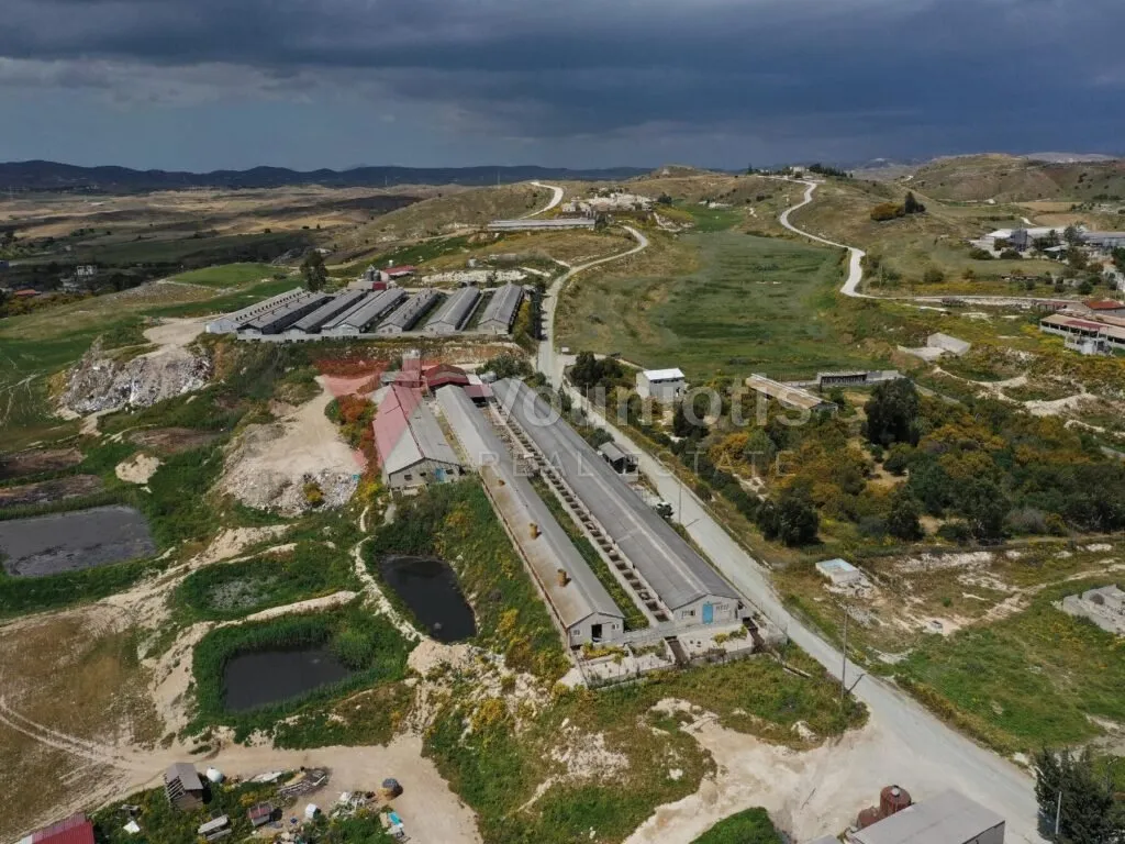 Farm - Aradippou, Larnaca – photo 3