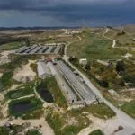 Farm – Aradippou, Larnaca — Larnaca, Aradippou (3)