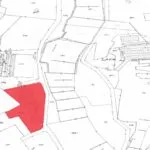 Farm – Aradippou, Larnaca — Larnaca, Aradippou (7)