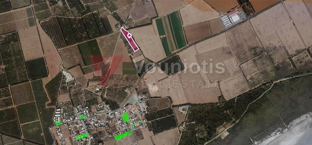 Field in Asomatos, Limassol – photo 2