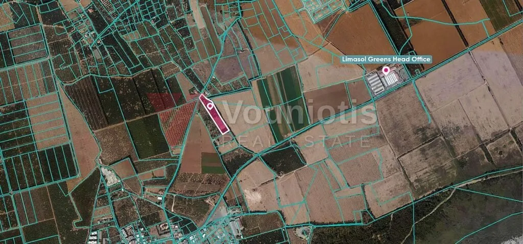 Field in Asomatos, Limassol – photo 3