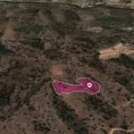 Field in Gourri, Nicosia — Nicosia, Gourri