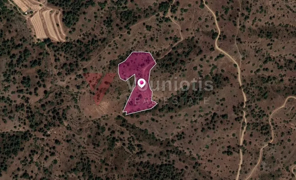 Field in Gourri, Nicosia – photo 2