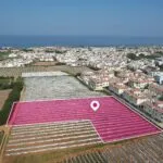 (Share) Residential Field, Paralimni, Ammochostos — Famagusta, Paralimni
