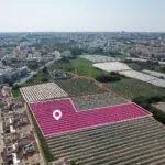 (Share) Residential Field, Paralimni, Ammochostos — Famagusta, Paralimni (2)