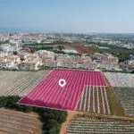 (Share) Residential Field, Paralimni, Ammochostos — Famagusta, Paralimni (3)