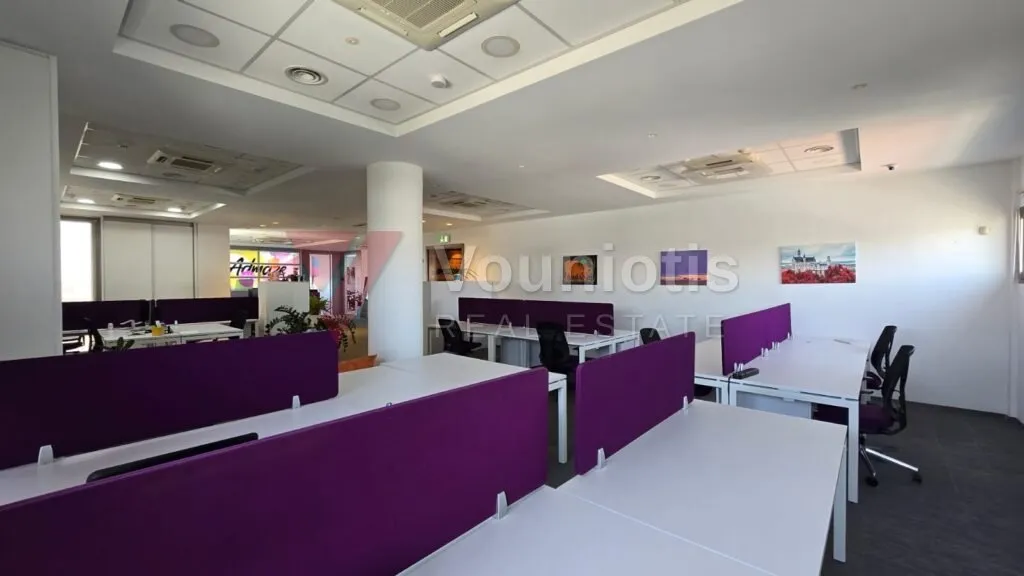 Two Floors of Modern Offices with Roof Garden & 12 Parking, Gladstonos Street, Limassol Centre — photo 6